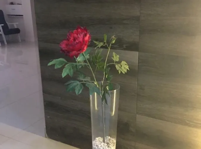 La Perla 아파트 푸에르토 드 라 크루즈