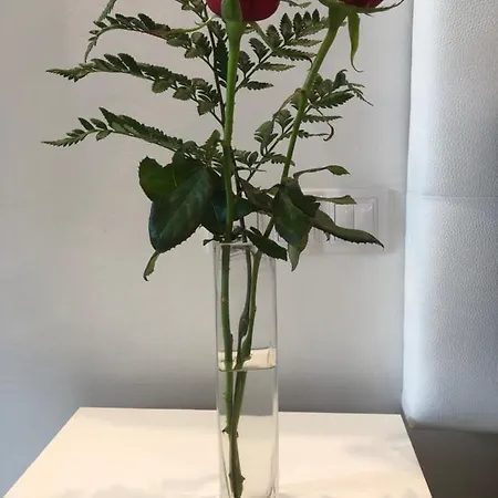 明珠公寓 公寓 拉克鲁斯