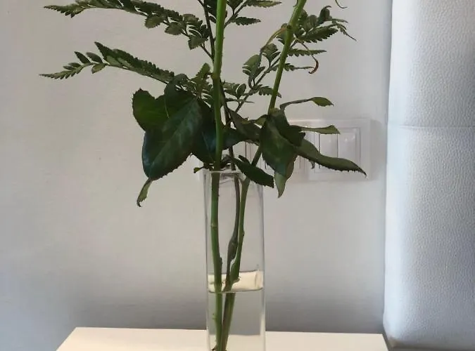 La Perla Lägenhet Puerto de la Cruz (Tenerife)